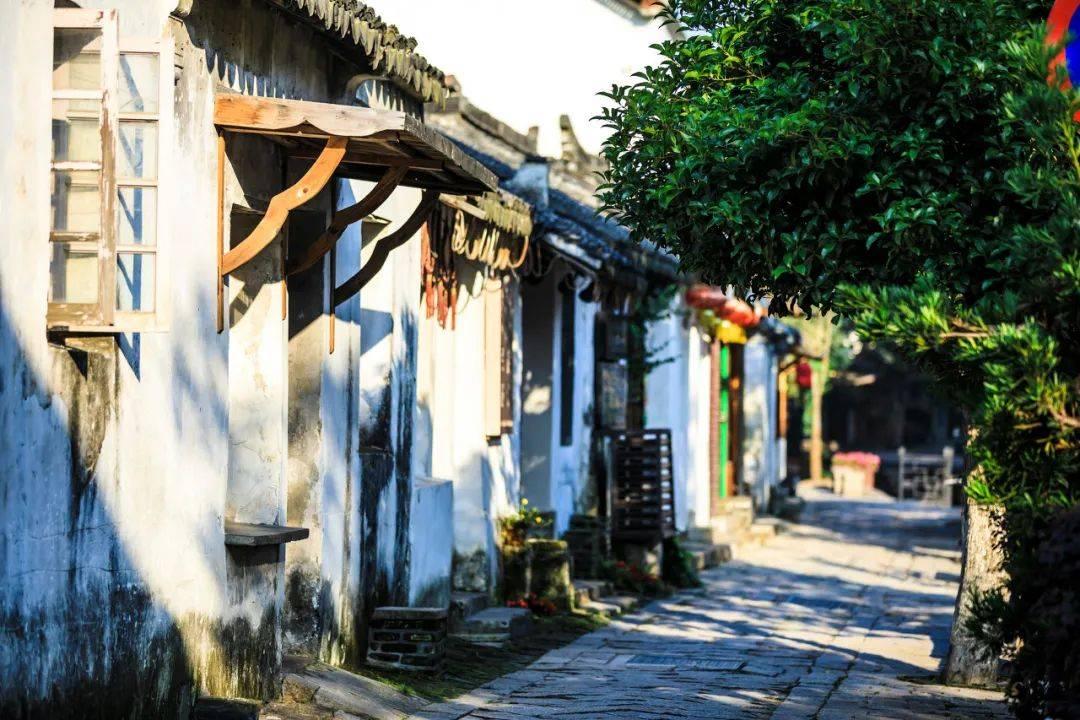 公募机构逆周期布局传递了什么信号